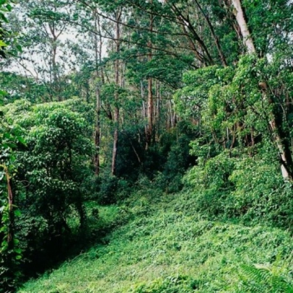 Meet your Posher, Tien